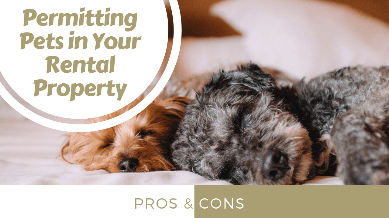The Pros and Cons of Permitting Pets in Your Sacramento Rental Property - Article Banner
